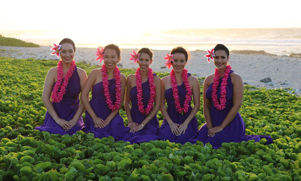 hawaii hula company