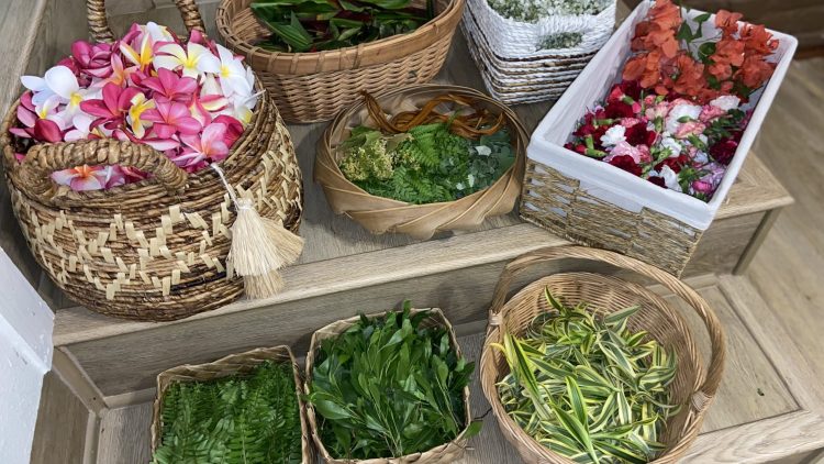 Photo Nov 09 2024, 10 04 38 PM